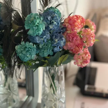 La Kameya Maison d'hôtes 2*