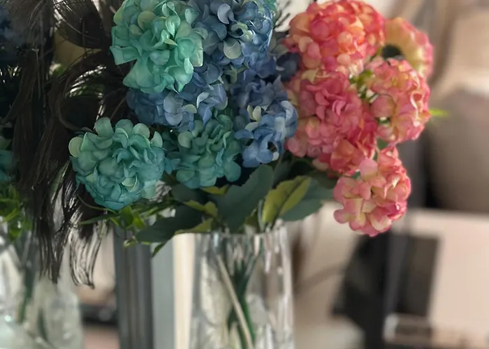 La Kameya Πανσιόν 2*